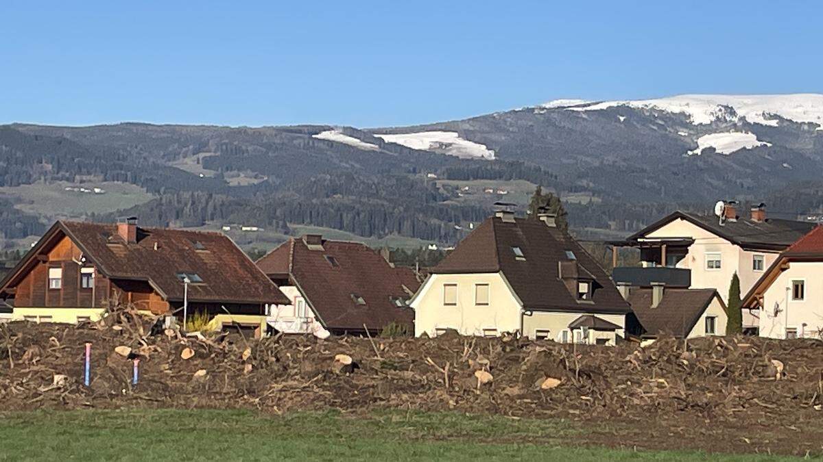 Vom Sturm getroffen wurde auch diese Waldfläche in Wolfsberg 