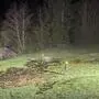 Das Osterfeuer steckte die trockene Wiese in Brand