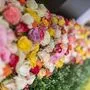 Blumen können gerade jetzt "Nahrung der Seele" sein 