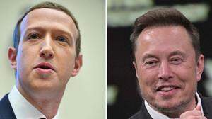  Mark Zuckerberg und Elon Musk bereiten sich auf ihren Kampf vor