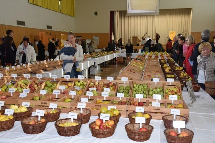 Auf Streuobstwiesen stehen großkronige Obstbäume unterschiedlichen Alters und diverser Größe locker und oft wie zufällig verstreut. Diese Wiesen gelten unter anderem als besonders artenreiche Lebensräume für Tiere.