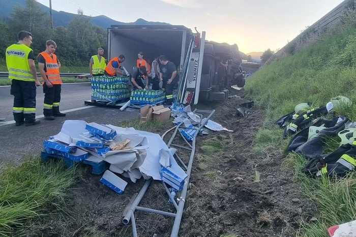 Der Fahrer wurde durch das Insekt in der Fahrerkabine abgelenkt und verlor die Herrschaft über den Lkw.