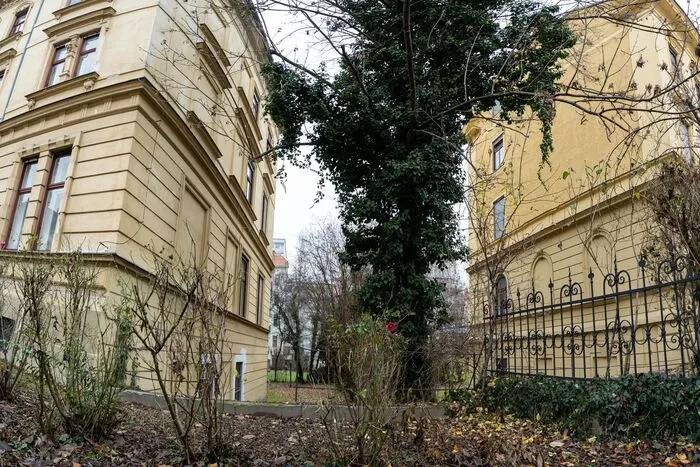 Wo jetzt noch der stattliche Baum steht, könnte demnach bald ein fünfgeschoßiges Gebäude in die Höhe wachsen.