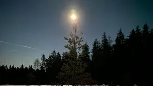 Perfekte Bedingungen