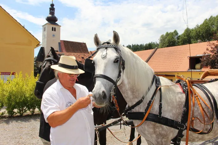 Klicken Sie sich durch weitere Bilder!