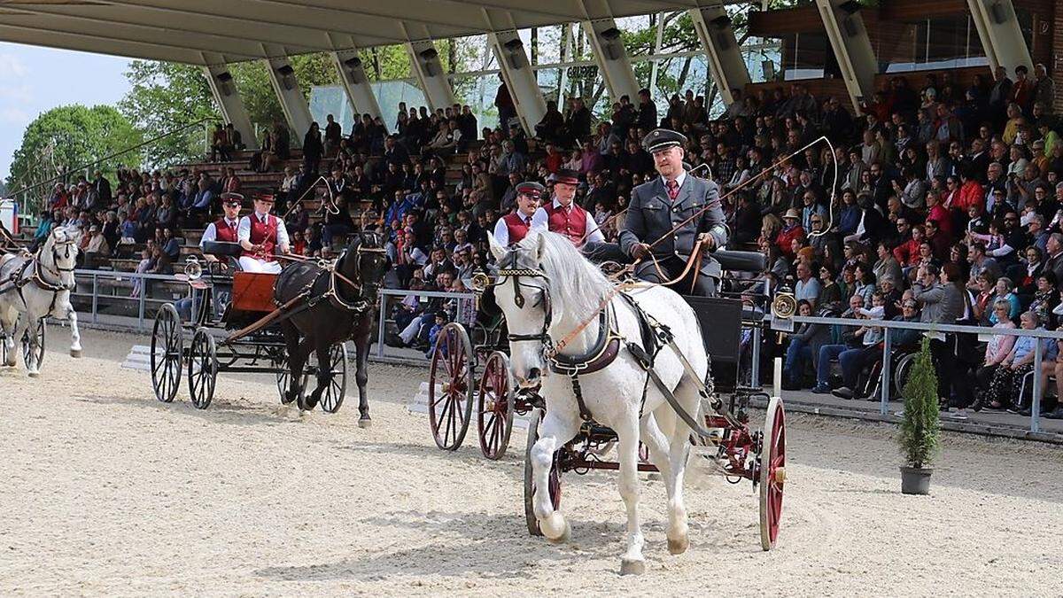 Vor einer vollen Tribüne zeigten die Lipizzaner und ihre Bereiter ihr Können