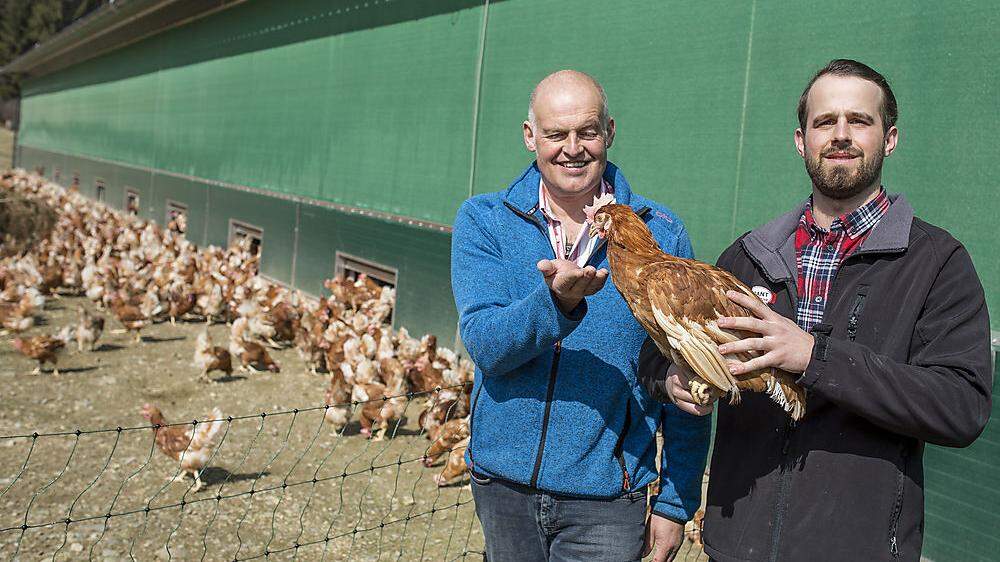 Glückliche Hühner: Dieter und Alexander Obereder freuen sich über die gute Gesundheit der Hennen nach der Stallpflicht