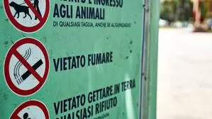 In mehreren Parks in Udine gilt bald ein Rauchverbot (Symbolfoto)