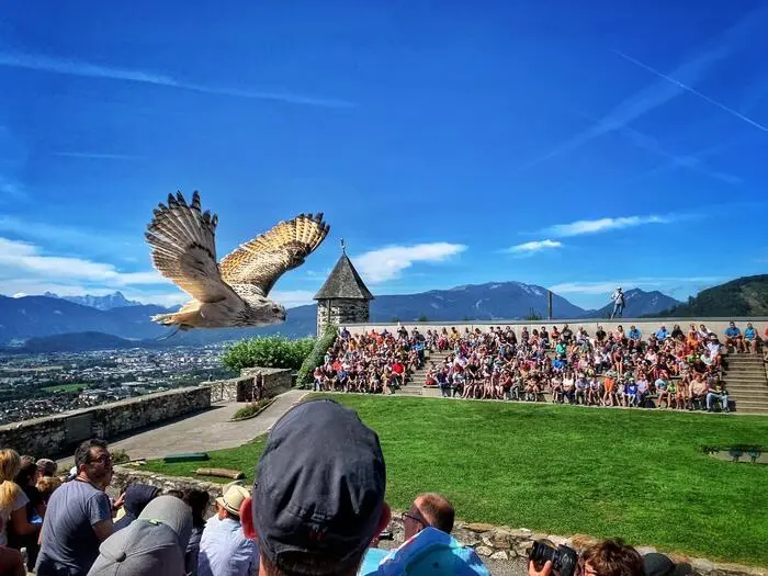 Bei den Flugschauen in der Adlerarena wird das Verhalten der Tiere erklärt und eindrucksvoll vorgeführt