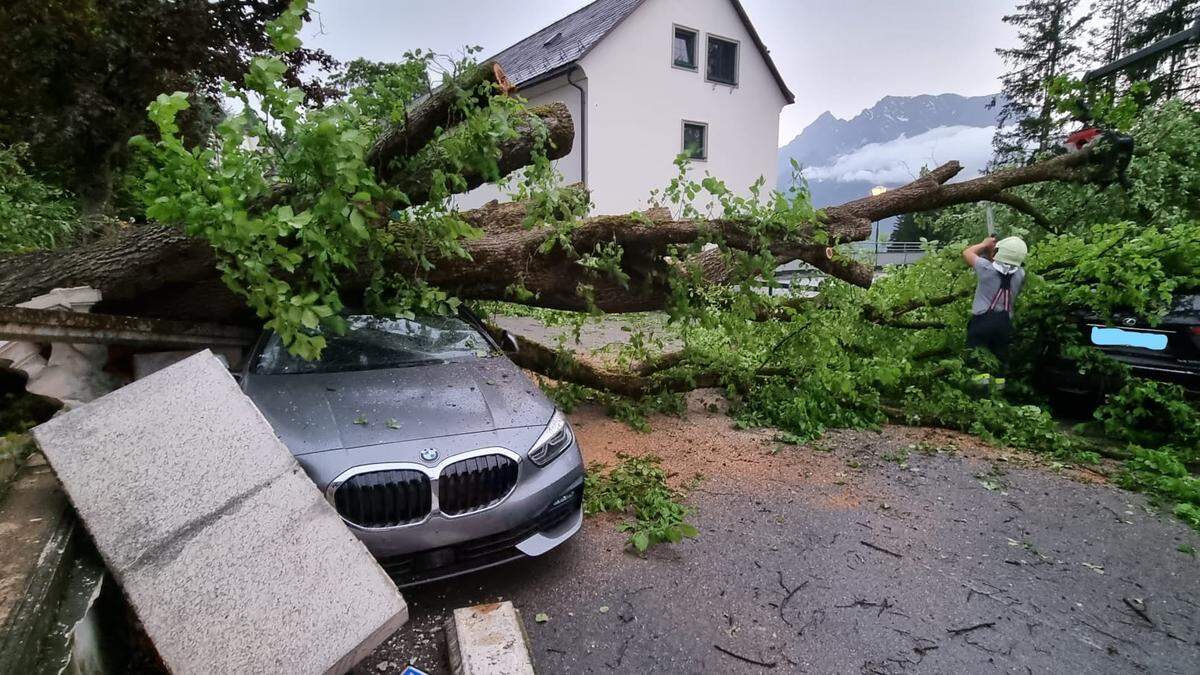 Der umgestürzte Baum im Hof des Hotel Schloss Pichlarn