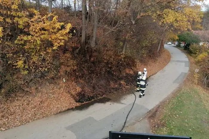 Grund dafür dürfte eine brennende Zigarette gewesen sein.