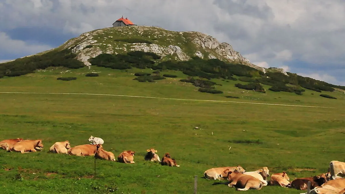 Der Naturpark Mürzer Oberland setzt auf Biodiversität