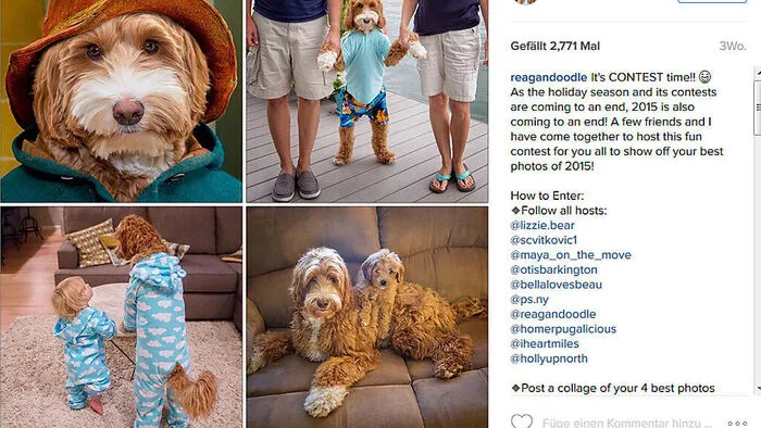 Der Instagram-Account von "Mr. Reagan"