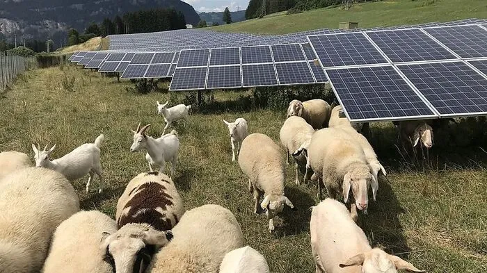 PV-Invest ist seit Jahren in Italien tätig