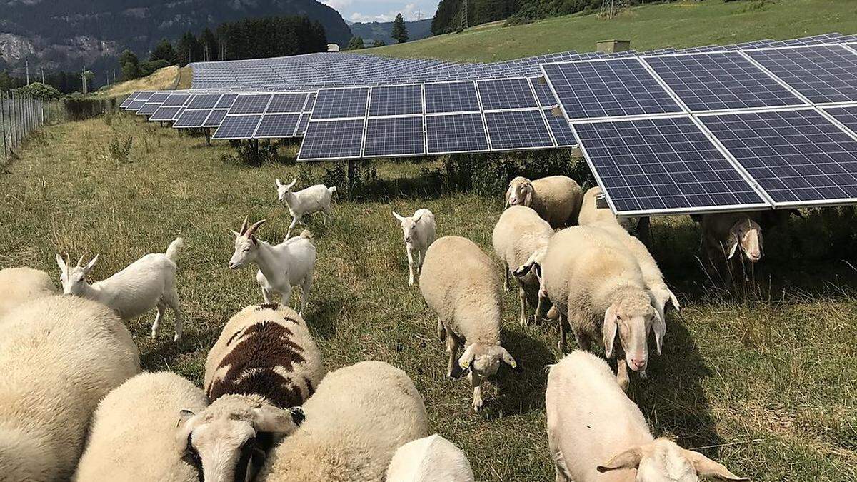 PV-Invest ist seit Jahren in Italien tätig