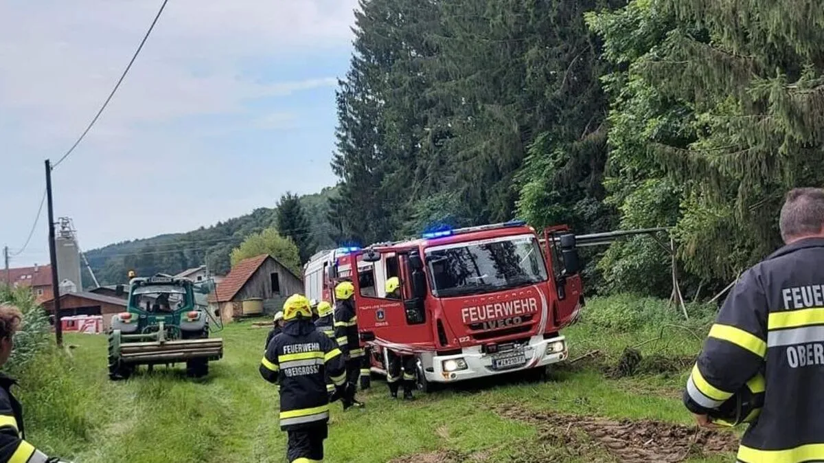 Die beiden Feuerwehren aus Gnies und Obergrossau rückten aus