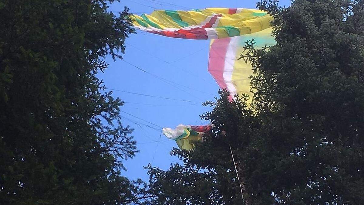 Der Schirm verfing sich in einer Fichte, Pilot und Passagierin konnten sich am Stamm festhalten