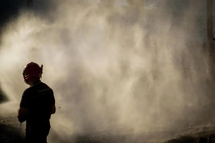 Sie vermuten, dass die Brände von mafiösen Organisationen gelegt worden seien, die im Nationalpark des Vesuvs illegal industriellen Abfall wie Asbest und dioxinhaltige Stoffe entsorgt haben.