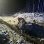 Im November 2024 überschlug sich ein Auto auf der S 37