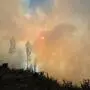 Man sieht gelblich-grauen Rauch über einem Wald