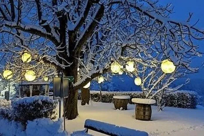 Platz 9: An jedem Adventwochenende (Fr-So) strahlen auf dem Landgut Riegerbauer in St. Johann bei Herberstein nicht nur die Kinderaugen. Dessen Garten wird mit Kastanienchristbaum, Lichterketten, Riesenstrohsternen und einem Lichterkrippenspiel festlich dekoriert. Zudem gibt es Kerzenziehen, offenes Feuer, Kunsthandwerk, Kekserl und Punsch.