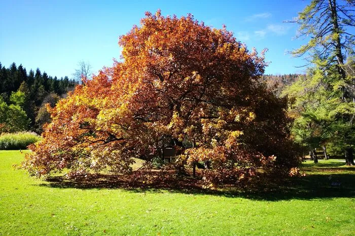 Herbst in Warmbad