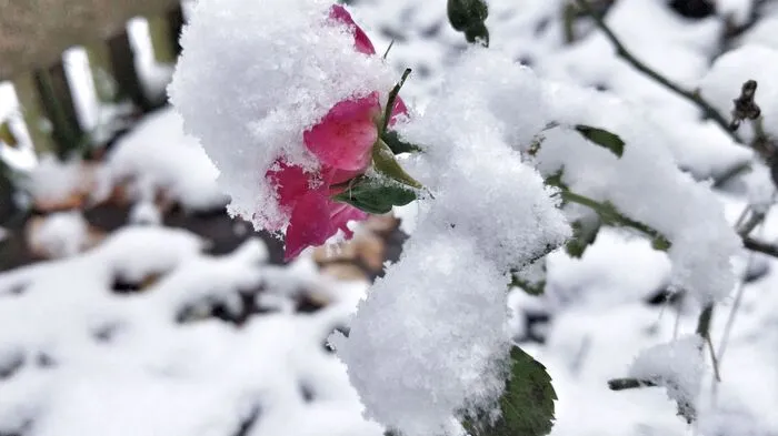 In der Vorwoche hatte es noch knapp unter 20 Grad, jetzt ist der Winter eingekehrt.