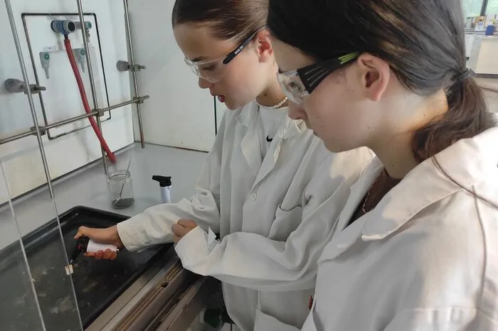 Die Schüler der MS 1 Deutschlandsberg durften die Welt der Chemie kennenlernen: Gemeinsam mit Studierenden der Karl-Franzens-Universität in Graz hat Pia Jarits für die Mittelschüler Experimente vorbereitet. Von Explosionen bis Versuchen mit flüssigem Stickstoff war alles dabei. Die Jugendlichen durften sogar selber Experimente durchführen.