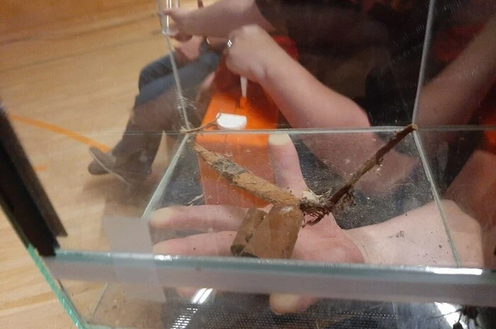 Im Kabarett wurde auf die Bedeutung und Notwendigkeit eines Lebensraumes für den Erhalt der Vielfalt an Insekten, Schmetterlinge, Schnecken und anderen Lebewesen hingewiesen.