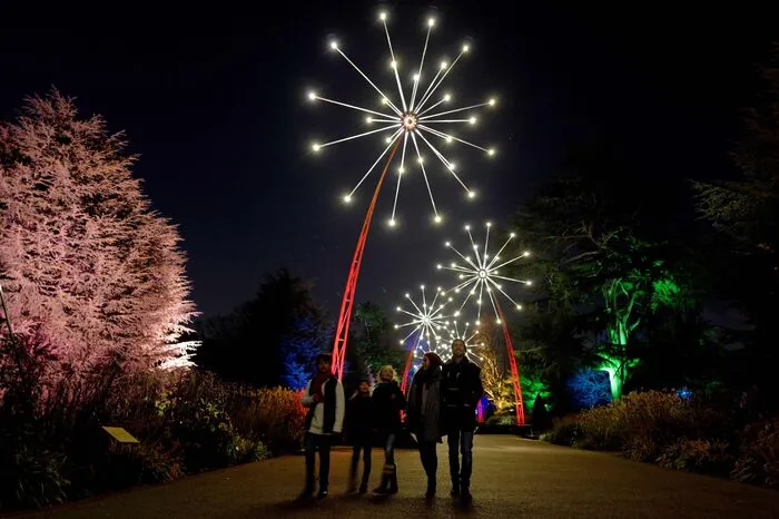 Mitten im dunklen November werden seit mittlerweile sechs Jahren Tausende Glühbirnen und Laser im Royalen Botanischen Garten installiert.