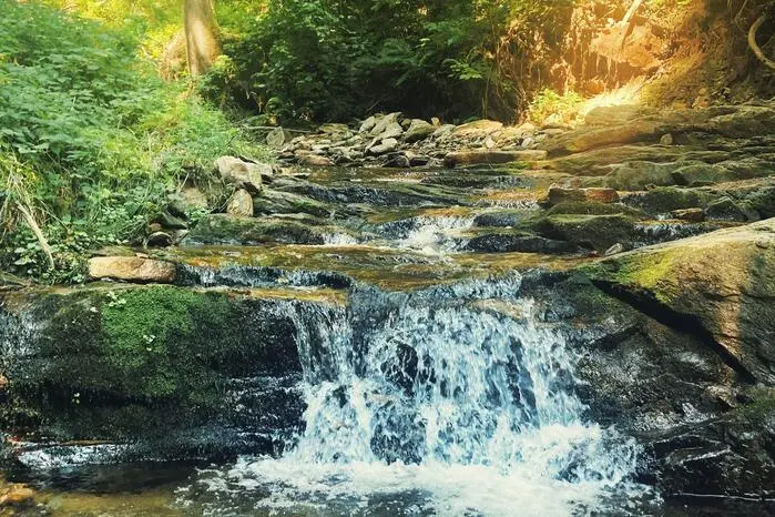 Nach der Flut im Vorjahr entfaltet sich in St. Martin am Wöllmißberg eine neue, lebendige Bachlandschaft.