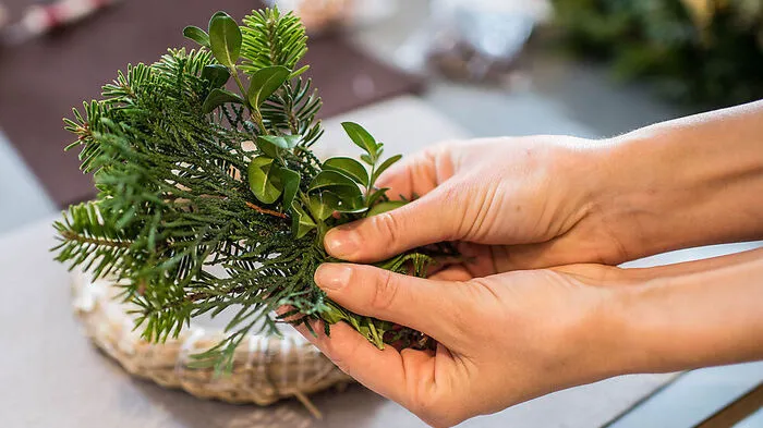 Für den Kranz brauchen Sie einen Stroh-Rohling, Blumendraht und frisches Reisig. Sie können Tanne, Fichte oder Buchsbaum verwenden. All jene, die keinen Garten oder Wald vor der Haustür haben, können beim Floristen nachfragen. Für die Frische: Erst kurz vorm ersten Advent binden.