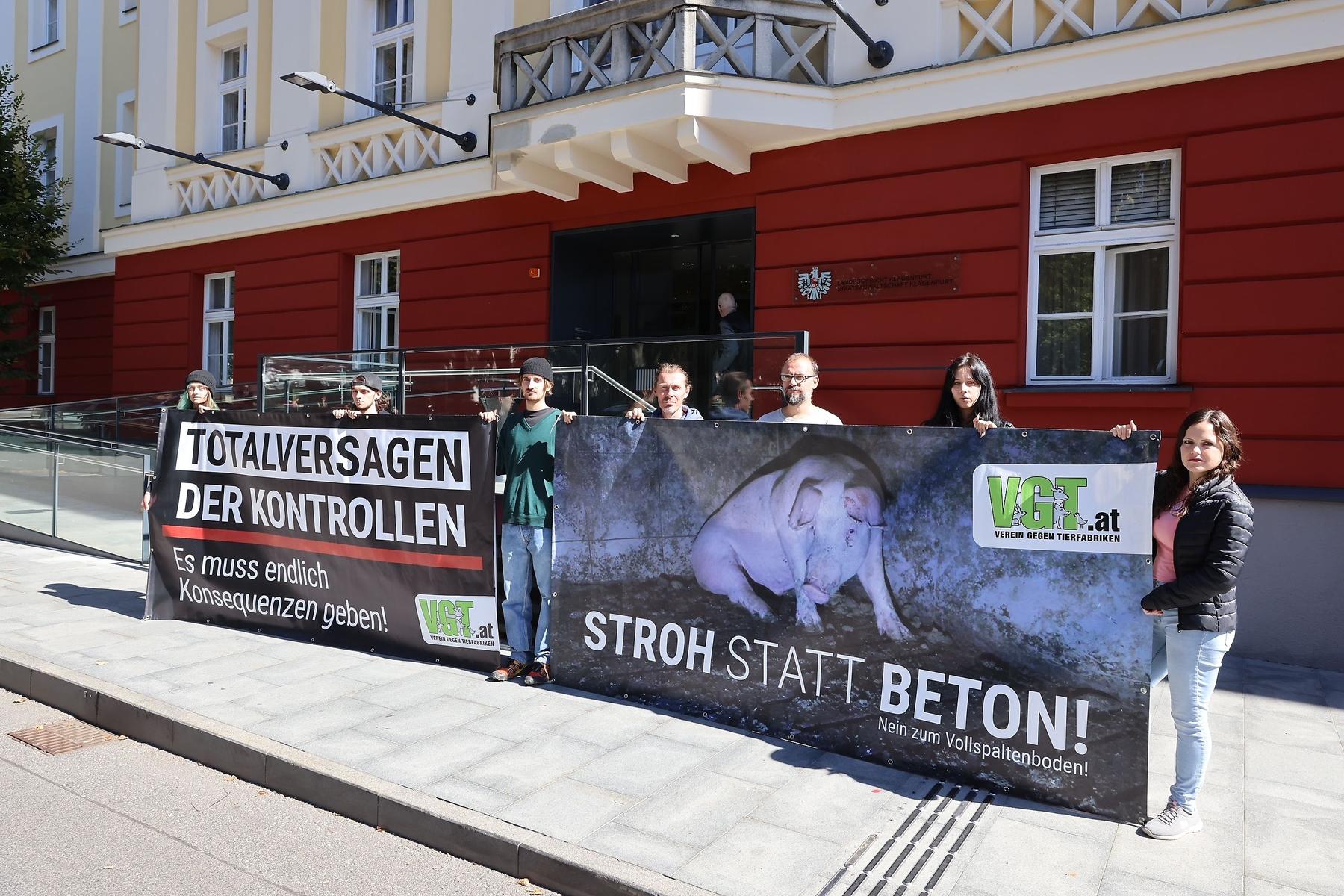 Tierquälerei im Mastbetrieb | Kärntner Schweinebauer vor Gericht: 6110 Euro  Geldbuße