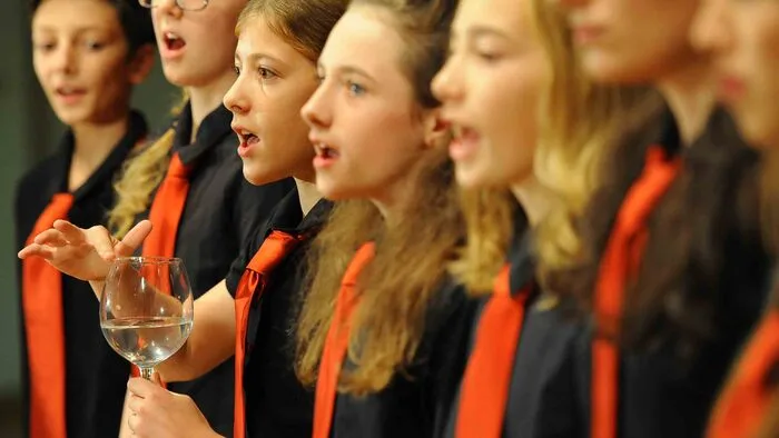 Am Donnerstag haben sich noch einmal neun Chöre im Kulturhaus Althofen im Wettbewerb um den "Chor des Jahres" gemessen.
