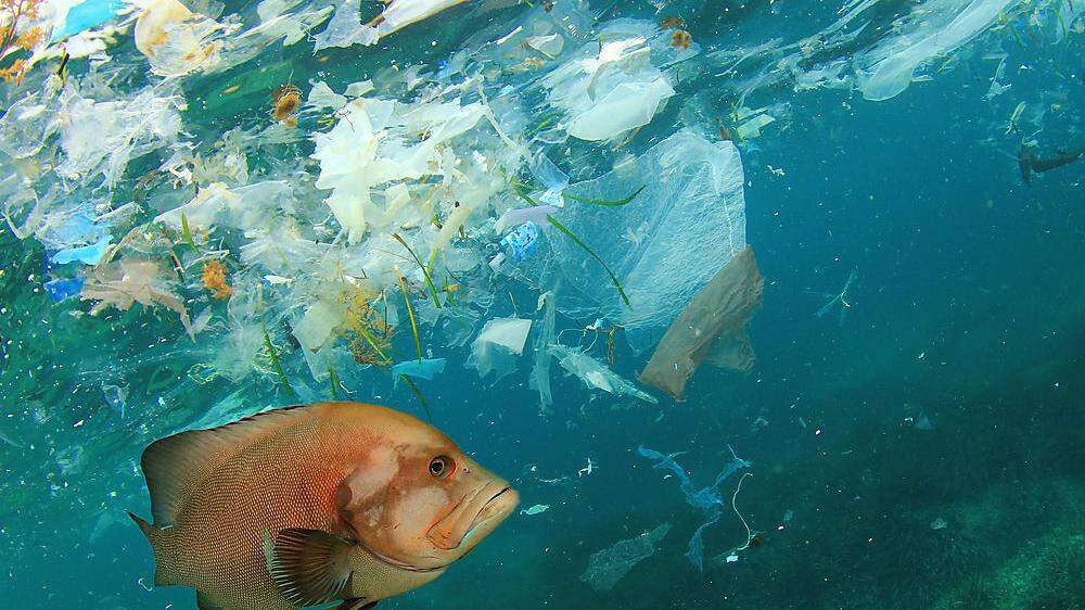 Jene zehn Wegwerfprodukte, die am häufigsten an Europas Stränden gefunden werden und über 70 Prozent der Abfälle im Meer ausmachen, sollen ab 2021 verboten werden