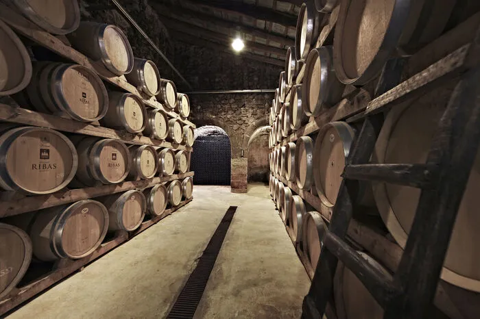 Ribas Weingut, 300 Jahre alte Weintradition. Nur wenige Schritte vom Kirchplatz des Ortes Consell entfernt liegt der imposante Herrensitz der Familie Ribas. Hier werden Weine seit mehr als 300 Jahren hergestellt. Herzstück des Weinguts ist das Rebland, das im Torrent Fals, einem alten, sehr steinigen Flussbett liegt. Die mehr als 40 Hektar gelten als die älteste Plantage mit der größten Vielfalt einheimischer Rebsorten der Insel. Außerdem sorgte die Winzerfamilie bei der Herstellung heimischer, fast verschwundener Rebsorten wie Gargollassa für Furore.