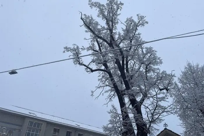Kaum Schnee gab es im November oder Dezember, auch im Jänner wurde es nicht weiß