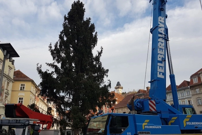 . . . und am Donnerstag auf dem Grazer Hauptplatz aufgestellt.