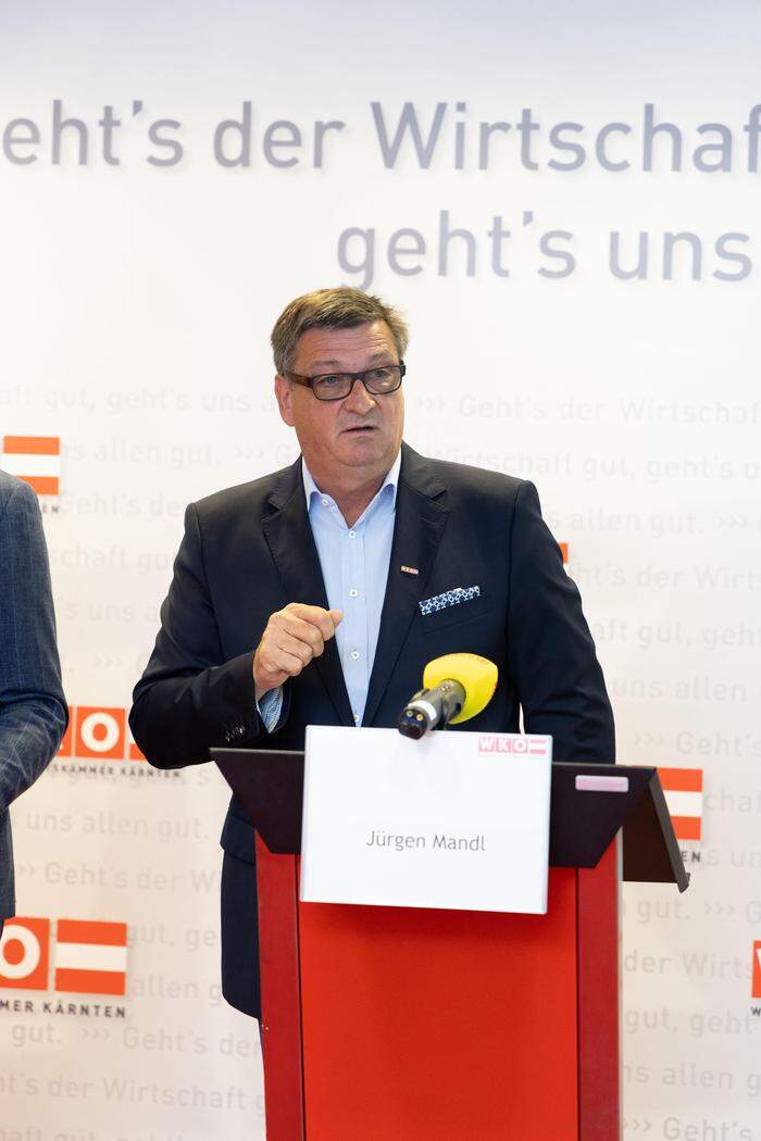 Jürgen Mandl: „Die Wirtschaft verlangt österreichweit einheitliche Stromnetztarife“