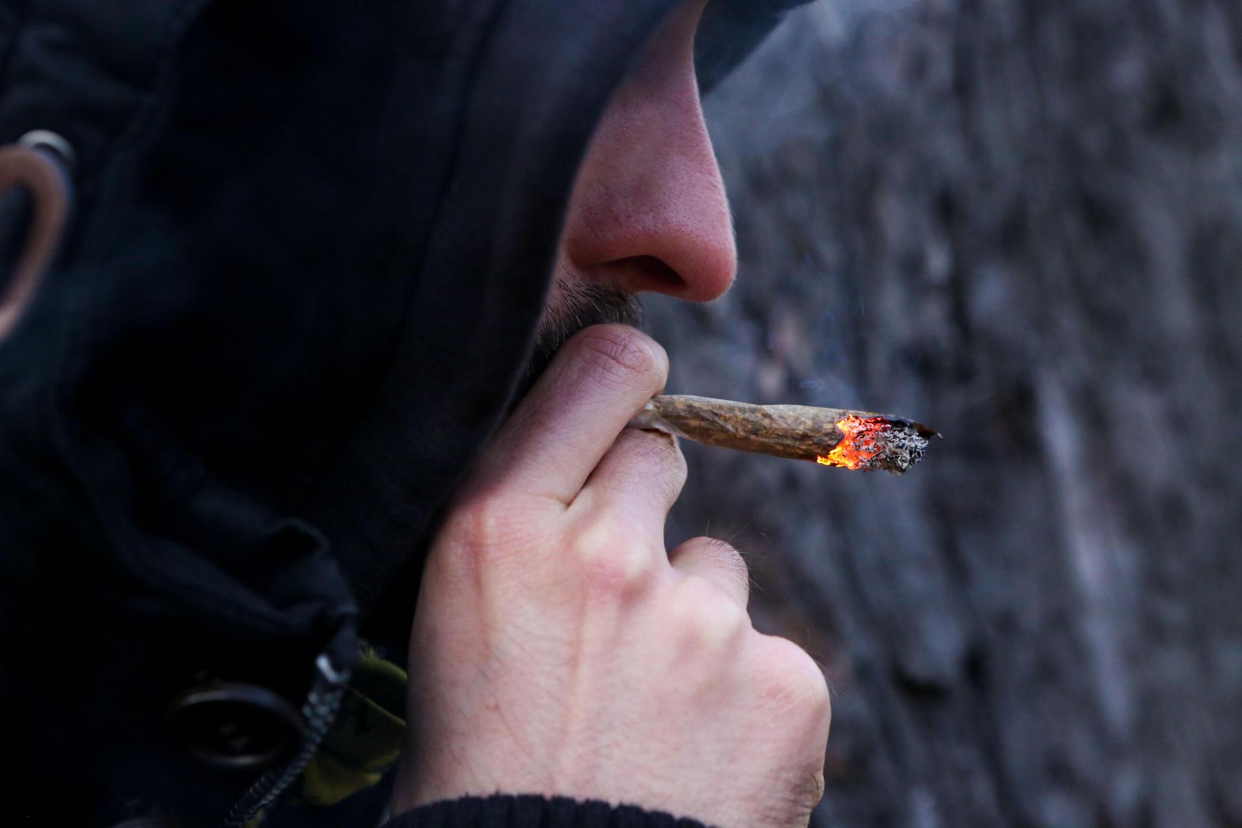 Zehn Festnahmen: Kokain und Cannabiskraut im Wert von 2,5 Millionen Euro verkauft