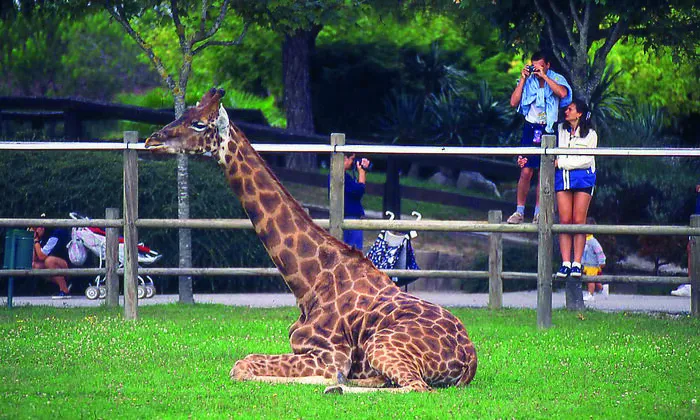 Ob im Zoo oder auf einer der Radtouren,  Spaß und Spannung ist in Lignano Sabbiadoro garantiert