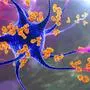 Antibodies attacking neuron, 3D illustration. Concept of autoimmune neurologic diseases