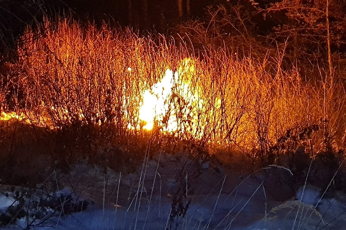 Die Feuerwehr konnte den Brand erst löschen, nachdem die Energie Steiermark den Strom abschaltete.