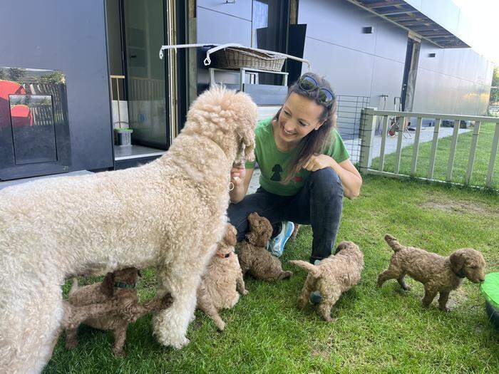 Neunfach-Hunde-Mama Mia kümmert sich rührend um ihre flauschige Rasselbande
