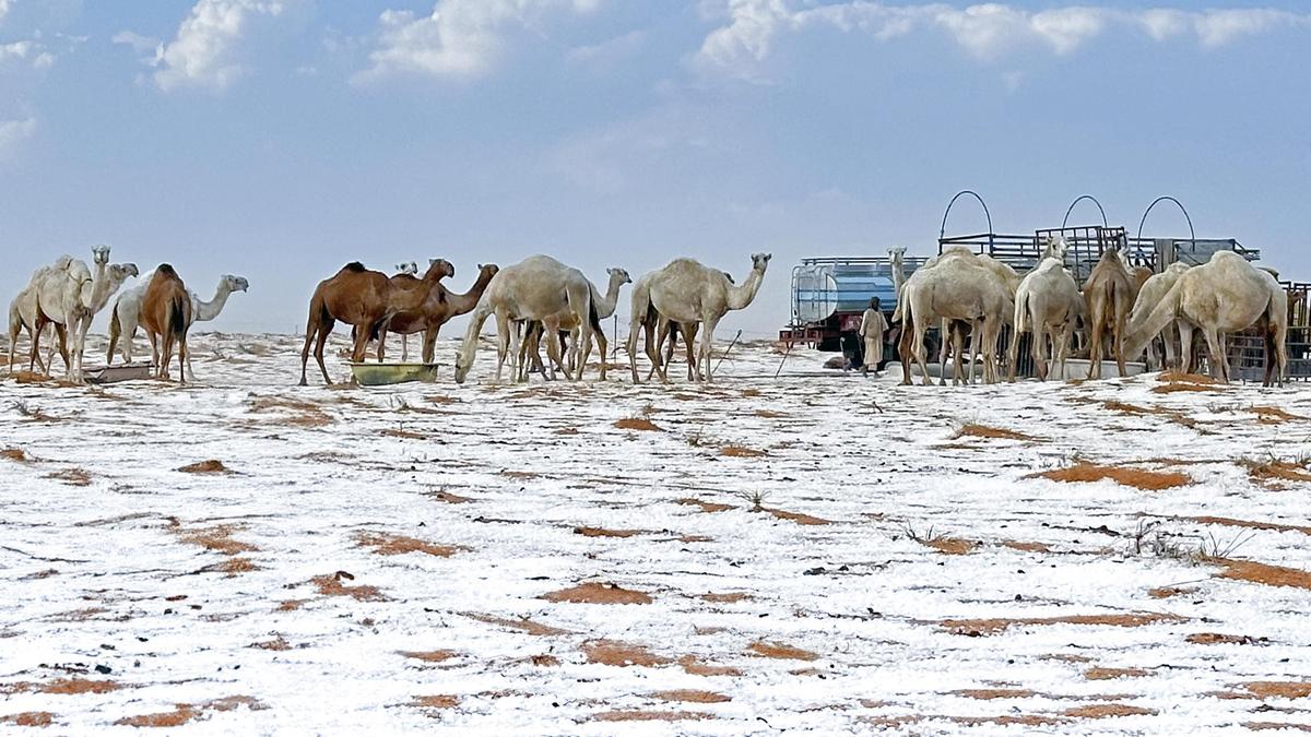 Schnee in der Al Jawf Provinz im Norden von Saudi-Arabien 