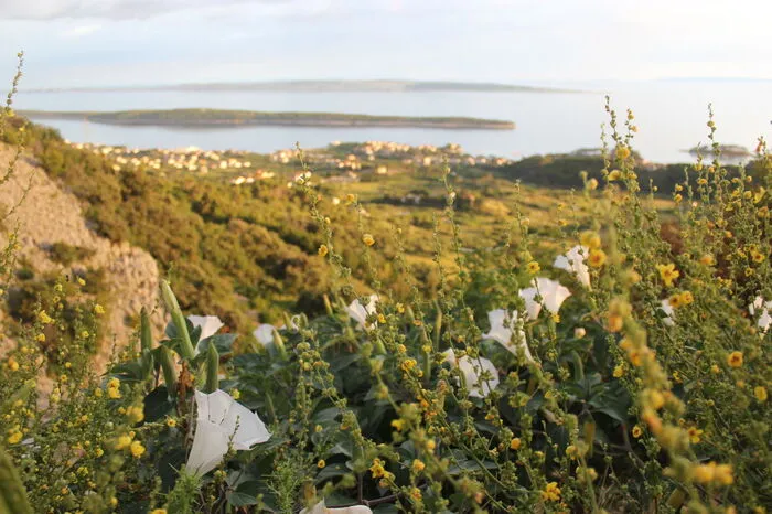Nur wenige Kilometer entfernt, entpuppt sich die Insel als ein grünes Paradies.