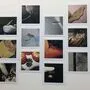 Tier- und Pflanzenfotografien von Manfred Willmann in der Ausstellung "Exposure"