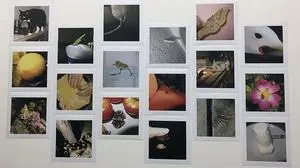 Tier- und Pflanzenfotografien von Manfred Willmann in der Ausstellung "Exposure"