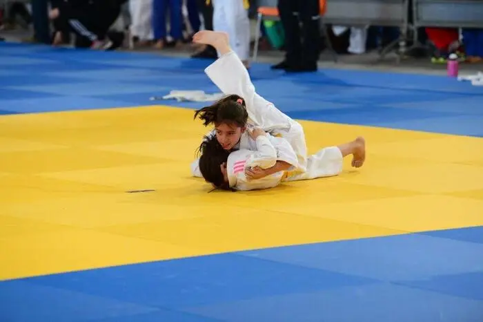 In seiner jetzigen Form gibt es den Club seit 1989, seit 2004 wird jedes Jahr zum internationalen Zeltweger Judoturnier geladen.