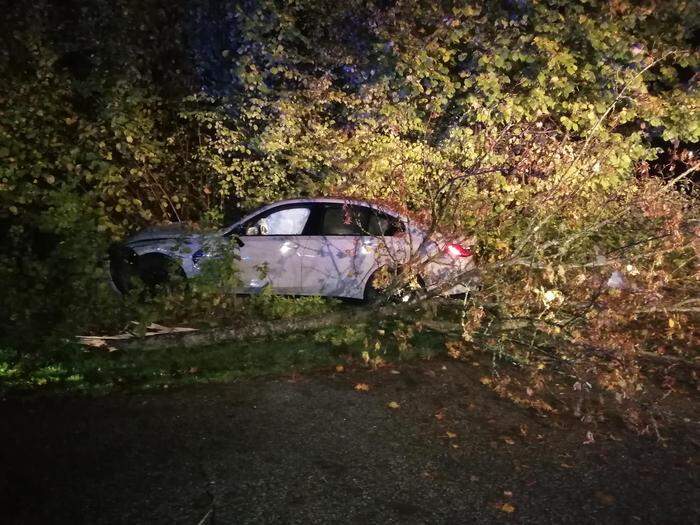 Das Auto krachte in den Baum